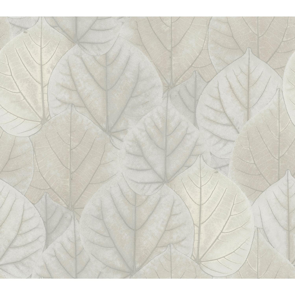 York Designer Series Leaf Concerto Gray Wallpaper