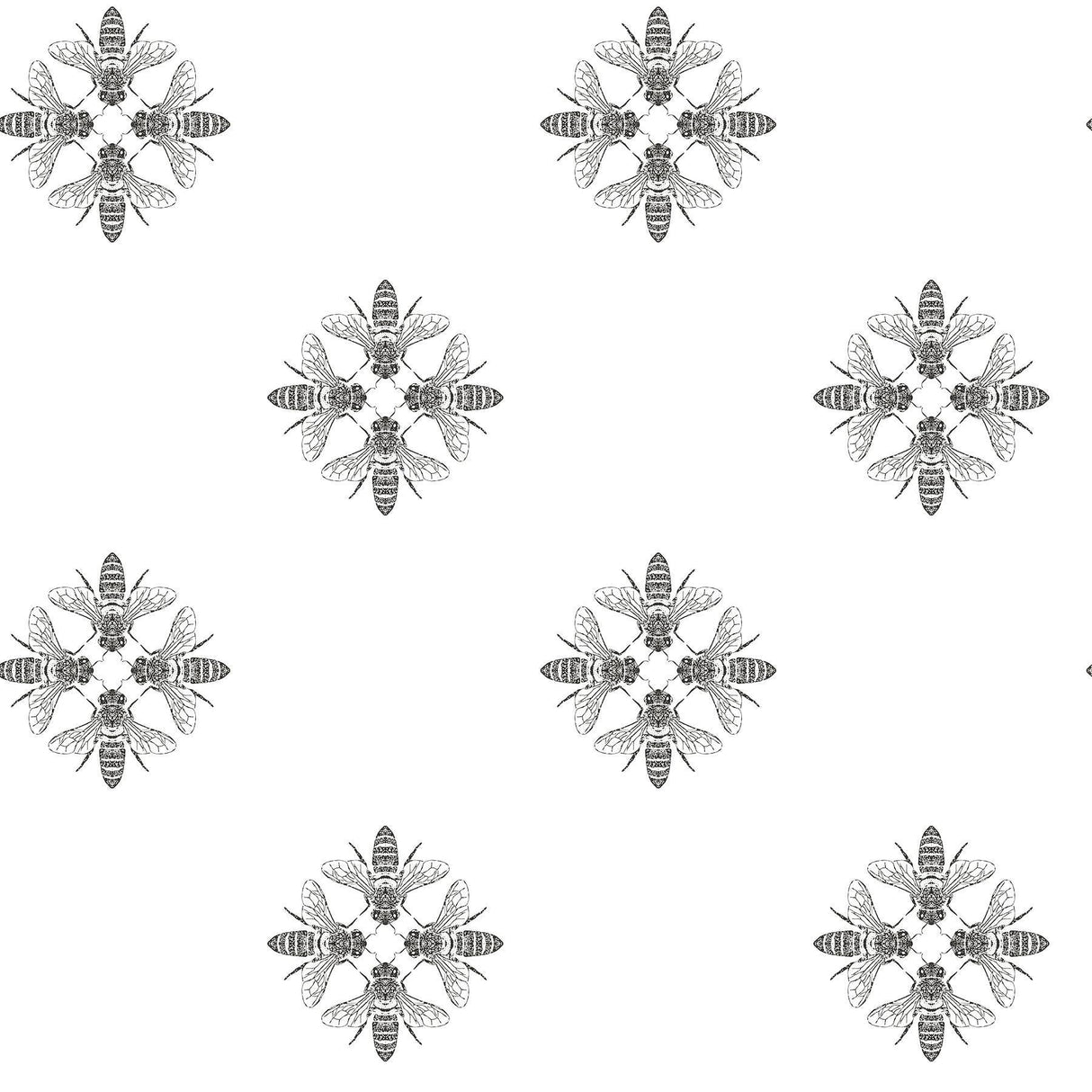 York Honey Bee Black/White Wallpaper