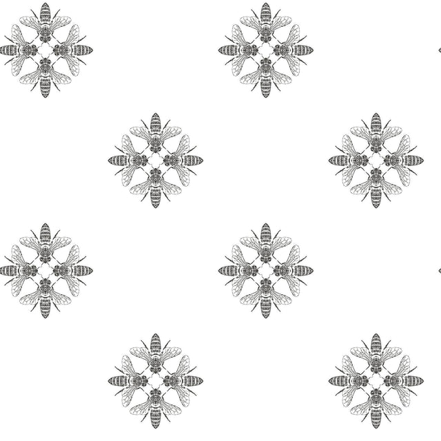 York Honey Bee Black/White Wallpaper