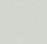 Rifle Paper Co. Champagne Dots Mineral Wallpaper