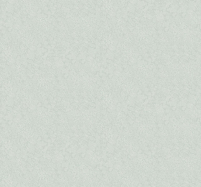 Rifle Paper Co. Champagne Dots Mineral Wallpaper