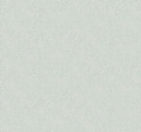 Rifle Paper Co. Champagne Dots Mineral Wallpaper