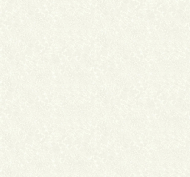 Rifle Paper Co. Champagne Dots Linen Wallpaper