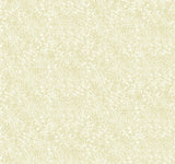 Rifle Paper Co. Champagne Dots Gold/White Wallpaper