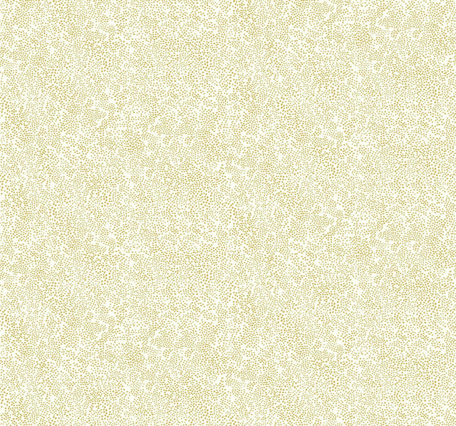 Rifle Paper Co. Champagne Dots Gold/White Wallpaper