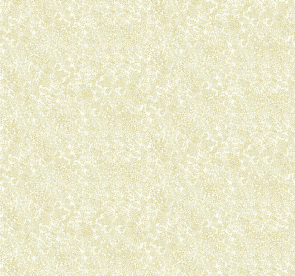 Rifle Paper Co. Champagne Dots Gold/White Wallpaper