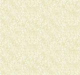 Rifle Paper Co. Champagne Dots Gold/White Wallpaper