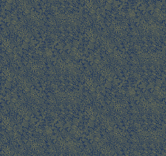 Rifle Paper Co. Champagne Dots Gold/Navy Wallpaper