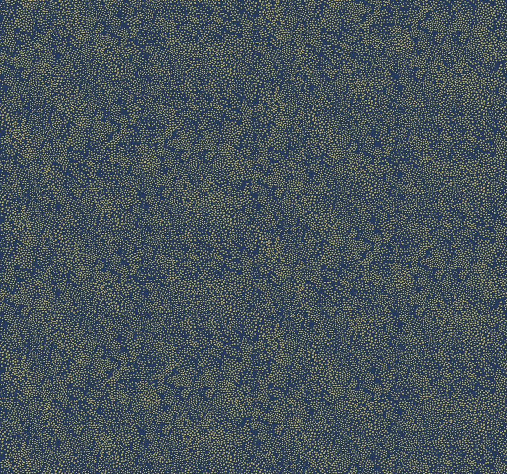 Rifle Paper Co. Champagne Dots Gold/Navy Wallpaper