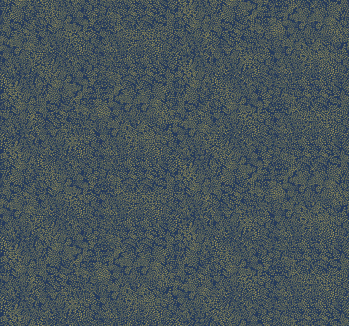 Rifle Paper Co. Champagne Dots Gold/Navy Wallpaper