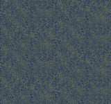 Rifle Paper Co. Champagne Dots Gold/Navy Wallpaper