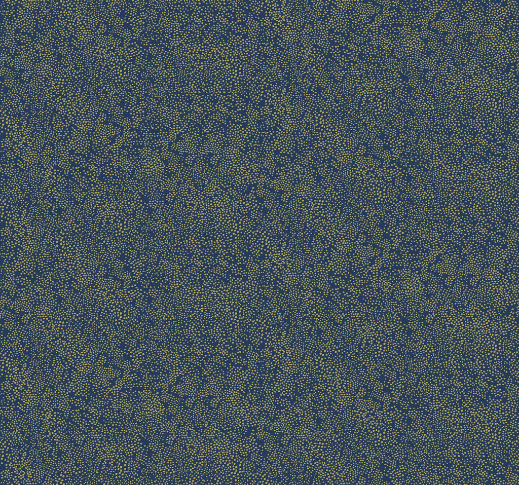Rifle Paper Co. Champagne Dots Gold/Navy Wallpaper
