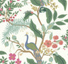 Rifle Paper Co. Peacock Periwinkle Wallpaper