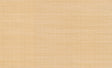 Rifle Paper Co. Palette Gold Wallpaper