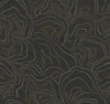 Ronald Redding Designs Geodes Black Wallpaper