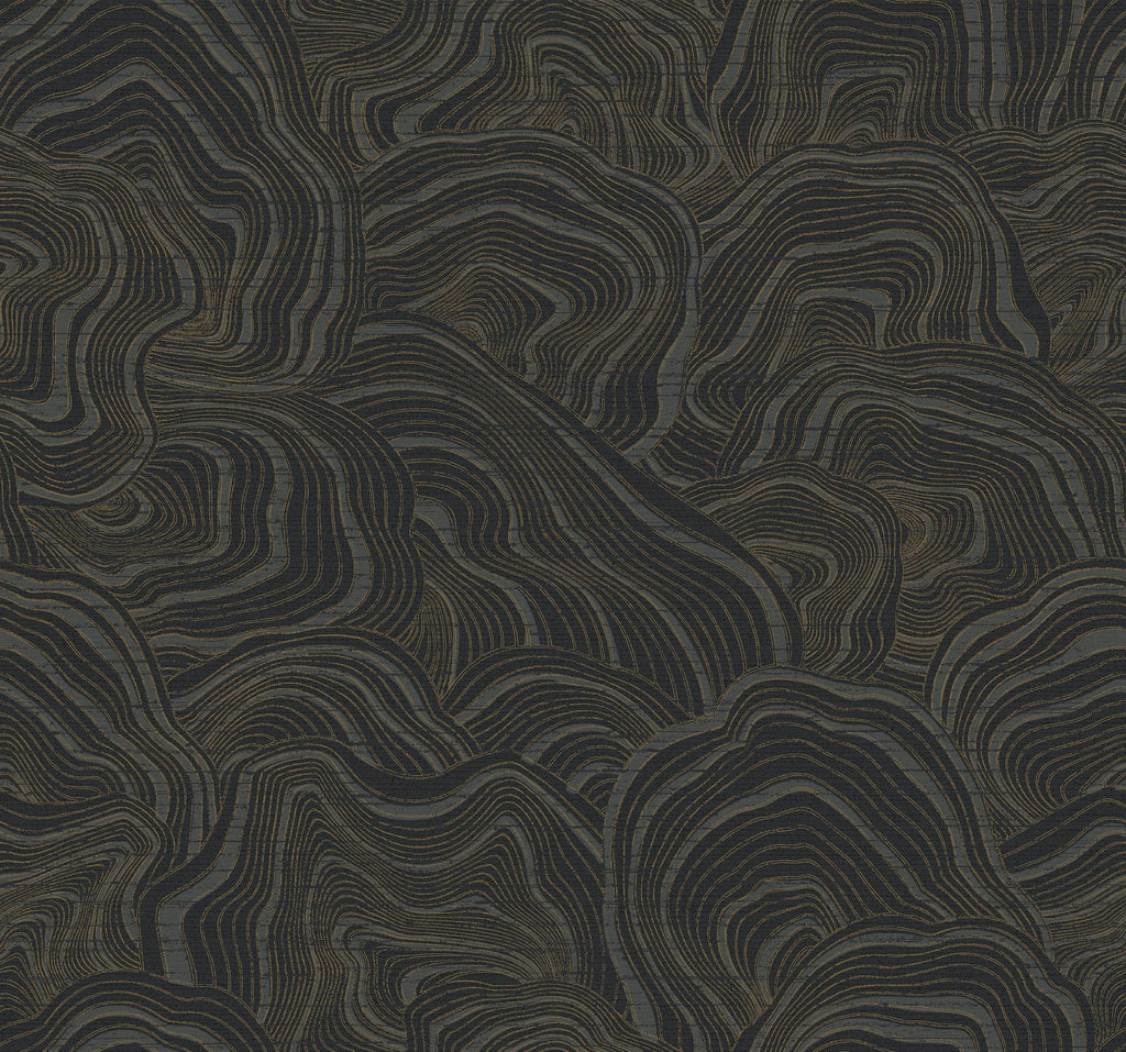 Ronald Redding Designs Geodes Black Wallpaper