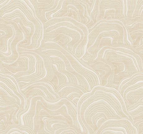 Ronald Redding Designs Geodes Cream Wallpaper