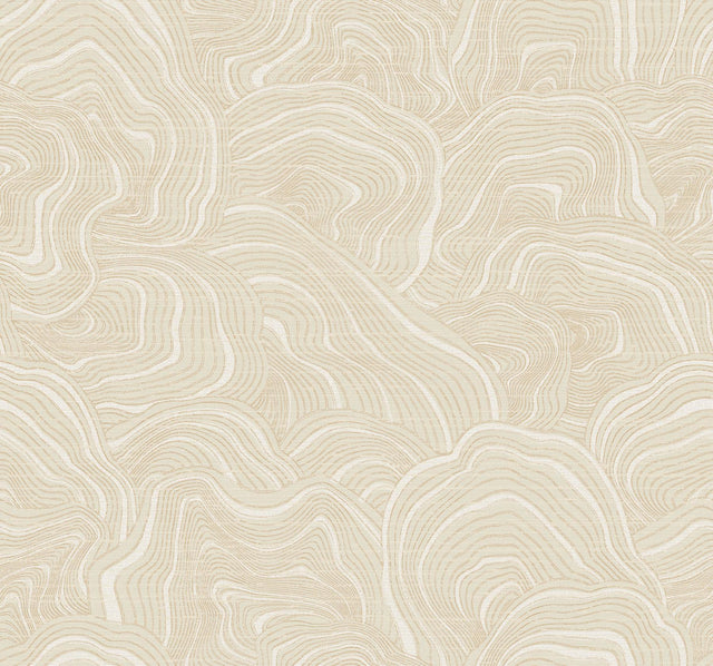 Ronald Redding Designs Geodes Cream Wallpaper