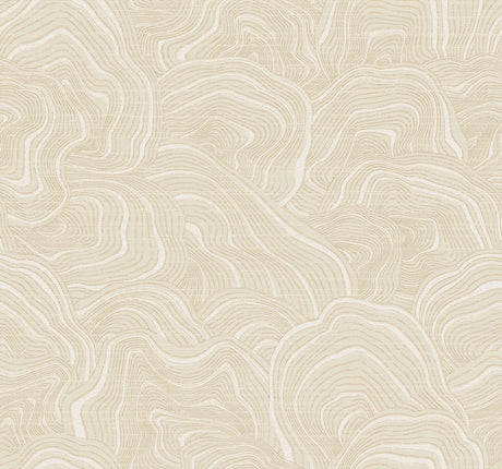 Ronald Redding Designs Geodes Cream Wallpaper