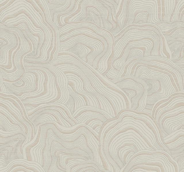 Ronald Redding Designs Geodes Taupe Wallpaper
