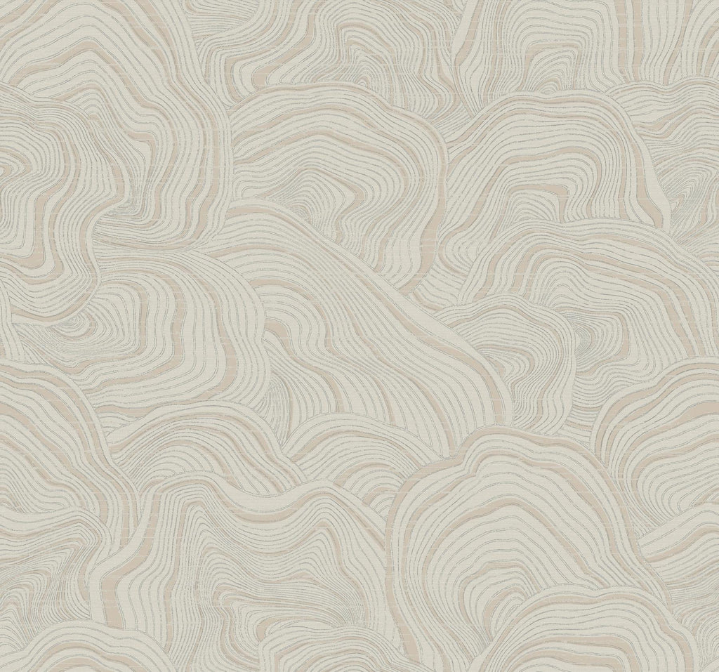 Ronald Redding Designs Geodes Taupe Wallpaper