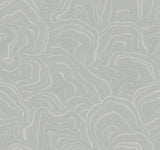 Ronald Redding Designs Geodes Grey Wallpaper