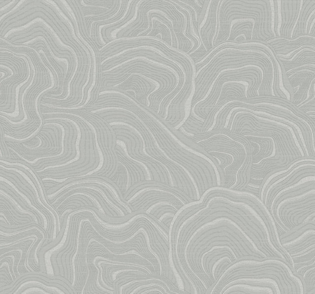 Ronald Redding Designs Geodes Grey Wallpaper