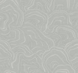 Ronald Redding Designs Geodes Grey Wallpaper