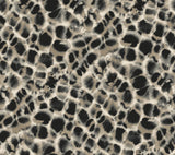 Ronald Redding Designs Leopard Rosettes Black Wallpaper