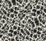 Ronald Redding Designs Leopard Rosettes Black/Off White Wallpaper