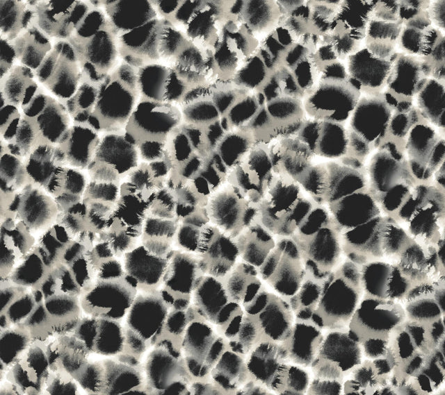 Ronald Redding Designs Leopard Rosettes Black/Off White Wallpaper
