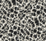 Ronald Redding Designs Leopard Rosettes Black/Off White Wallpaper