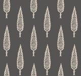 York Juniper Tree Black/Taupe Wallpaper