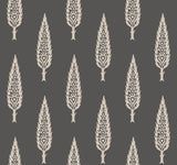 York Juniper Tree Black/Taupe Wallpaper