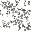 York Creeping Fig Vine Black/White Wallpaper