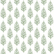 York Paisley On Calico Green Wallpaper