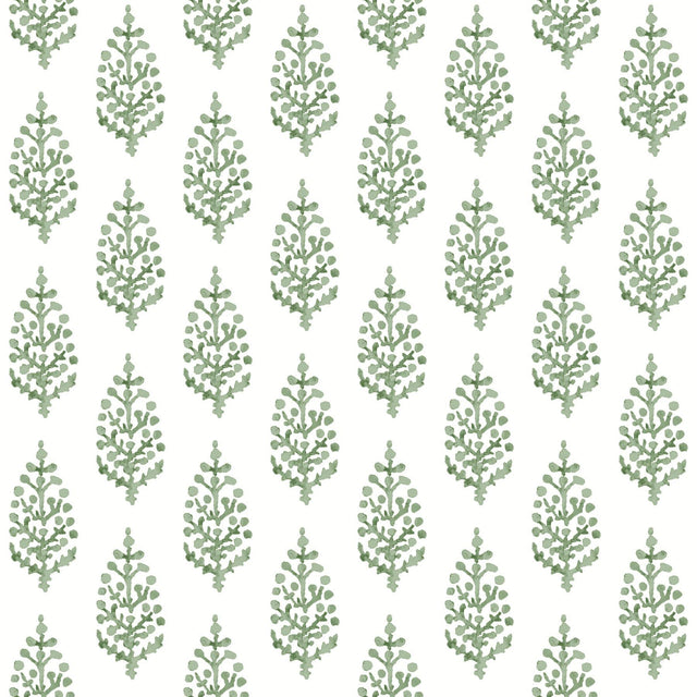 York Paisley On Calico Green Wallpaper