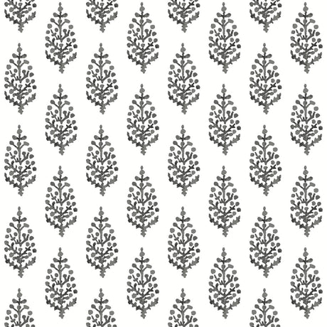 York Paisley On Calico Black/White Wallpaper