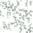 York Creeping Fig Vine Sage Wallpaper