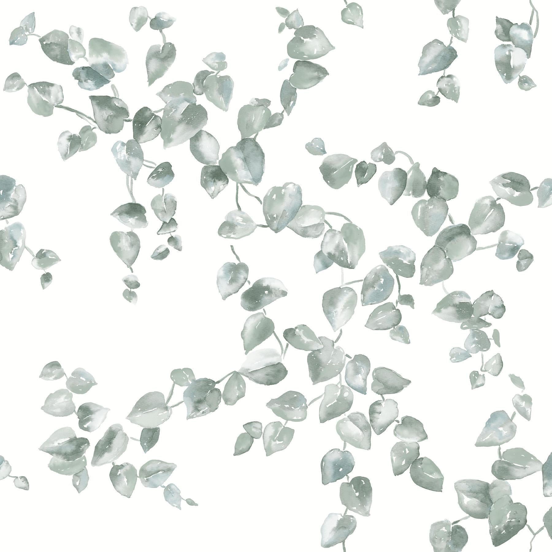 Обои флизелиновые Creeping Fig Vine by York