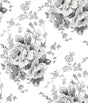 York Heritage Rose White/Black Wallpaper