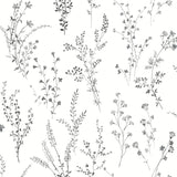 York Wildflower Sprigs Black/White Wallpaper