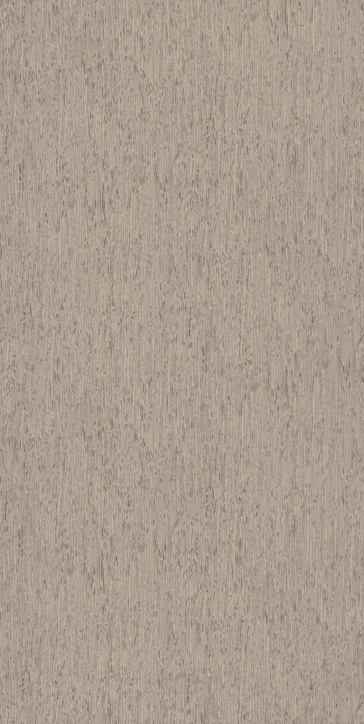 York Rugged Bark Gray Wallpaper
