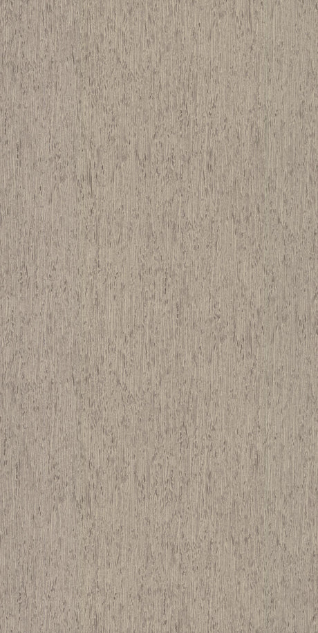 York Rugged Bark Gray Wallpaper