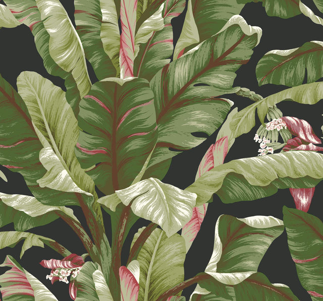 Ashford House Banana Leaf Black Wallpaper