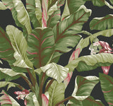 Ashford House Banana Leaf black/light to dark green/brown/red/pink/white Wallpaper