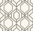 York Sawgrass Trellis White/Taupe Wallpaper