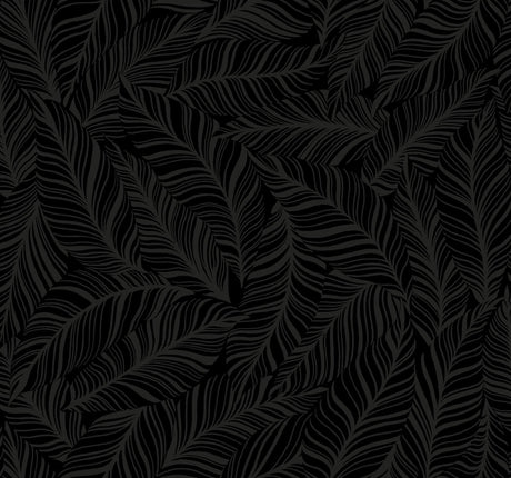 York Rainforest Canopy Black Wallpaper