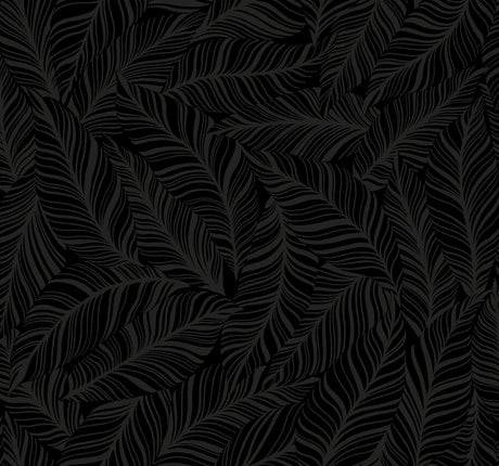 York Rainforest Canopy Black Wallpaper