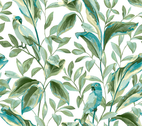 York Tropical Love Birds White/Aqua Wallpaper